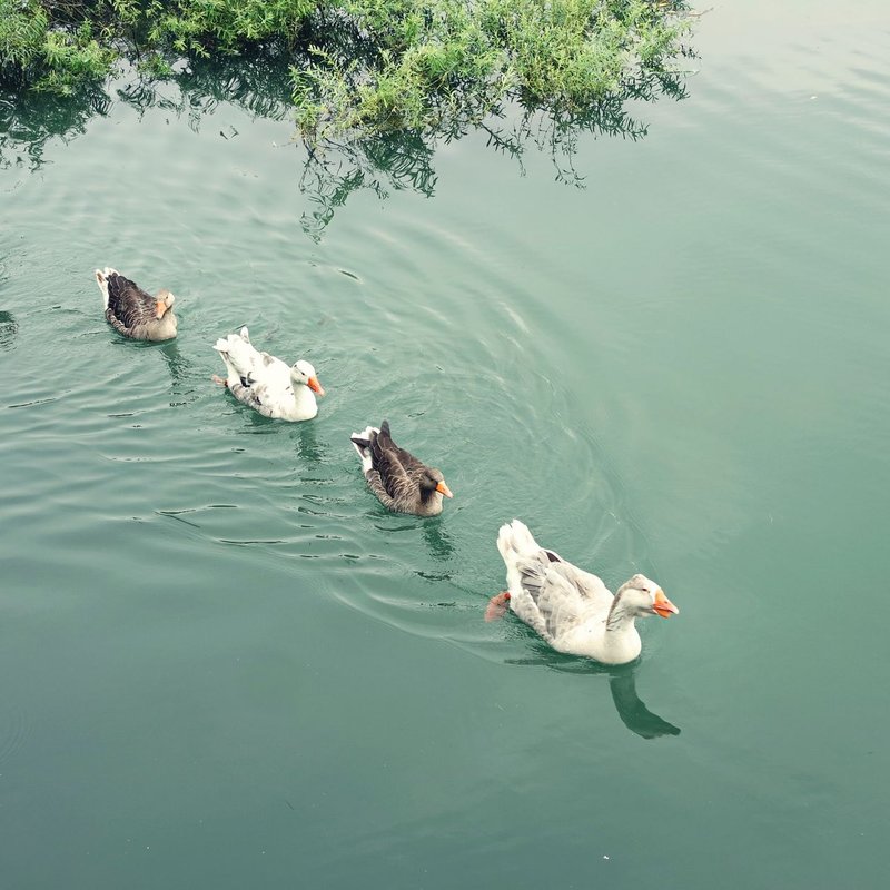 Casiers à bouteilles