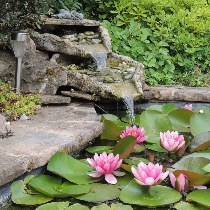 Accessoires pour fontaines & bassins
