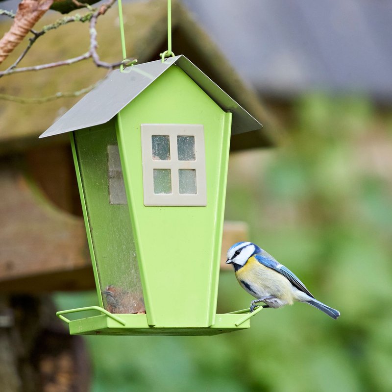 Mangeoires pour oiseaux & animaux sauvages