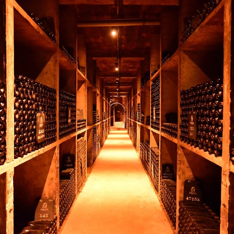 Caves à vins & spiritueux