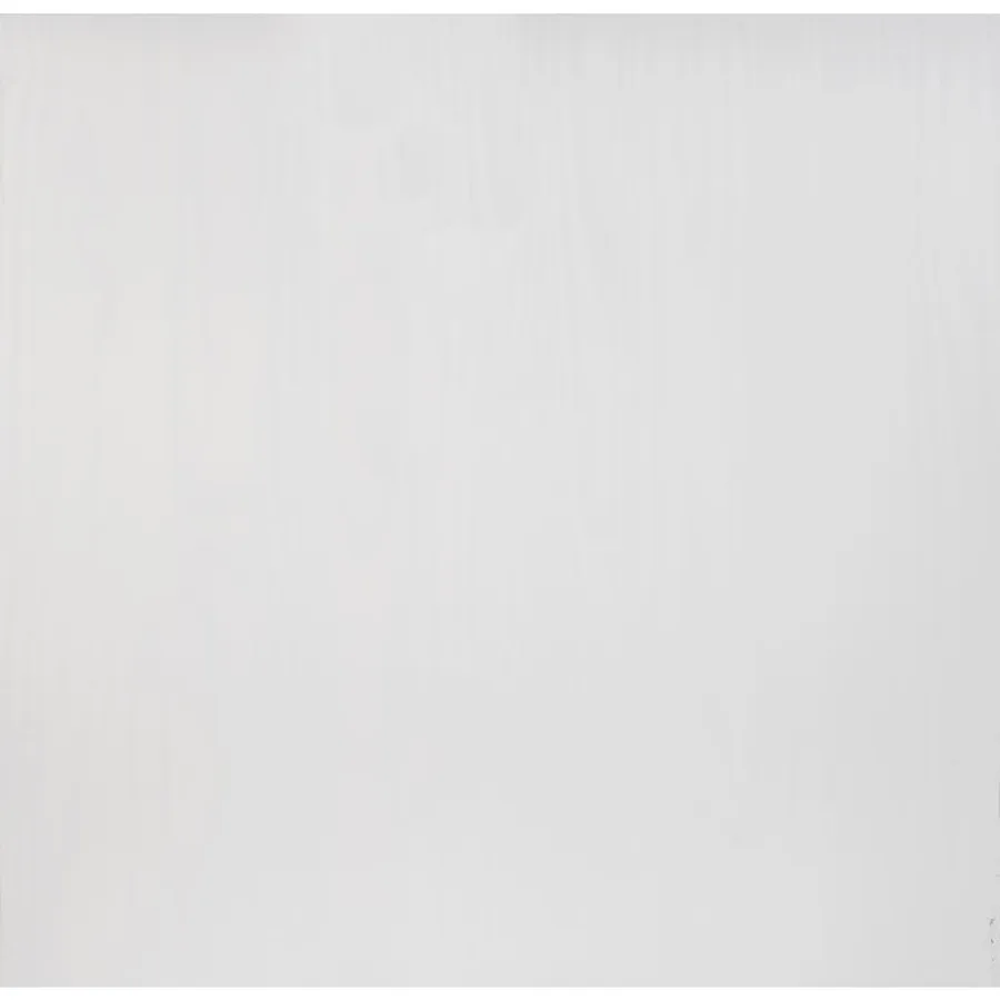 Garde-robe FLORO blanc 77x53x171 cm bois massif de pin - 9