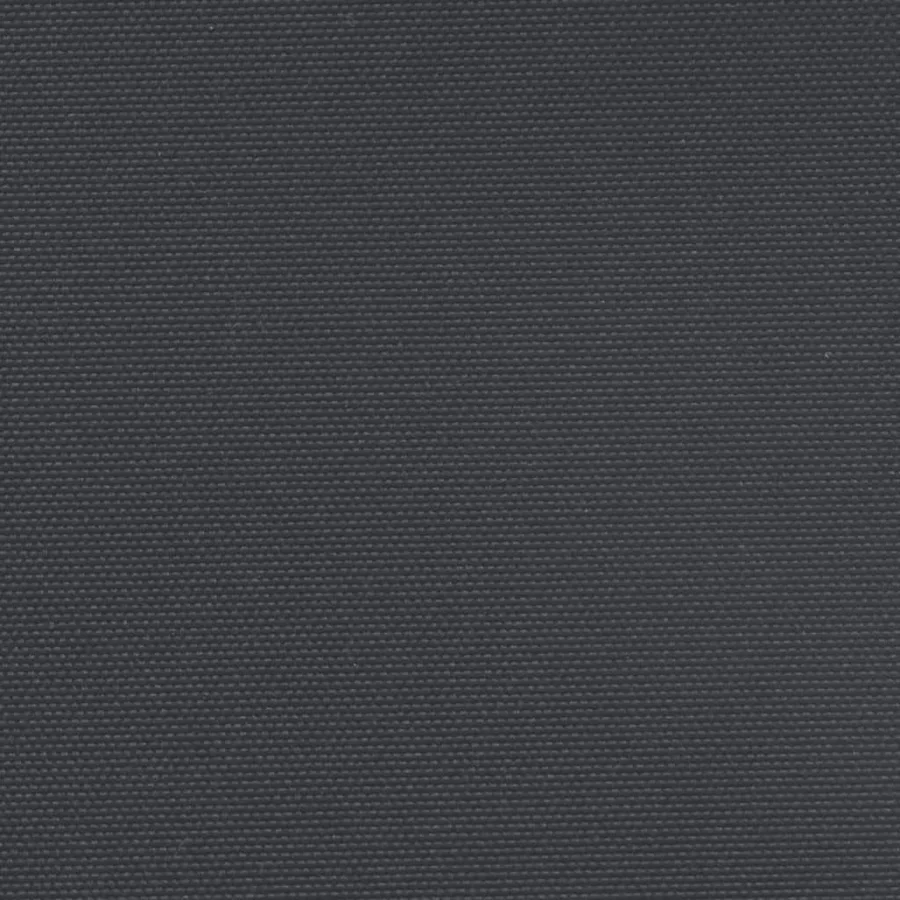 Auvent latéral rétractable noir 220x1000 cm - 9