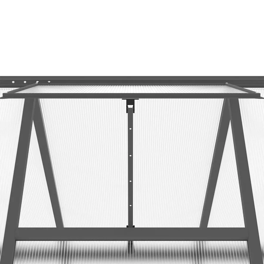 Serre avec cadre de base anthracite 224x169x195 cm aluminium - 9