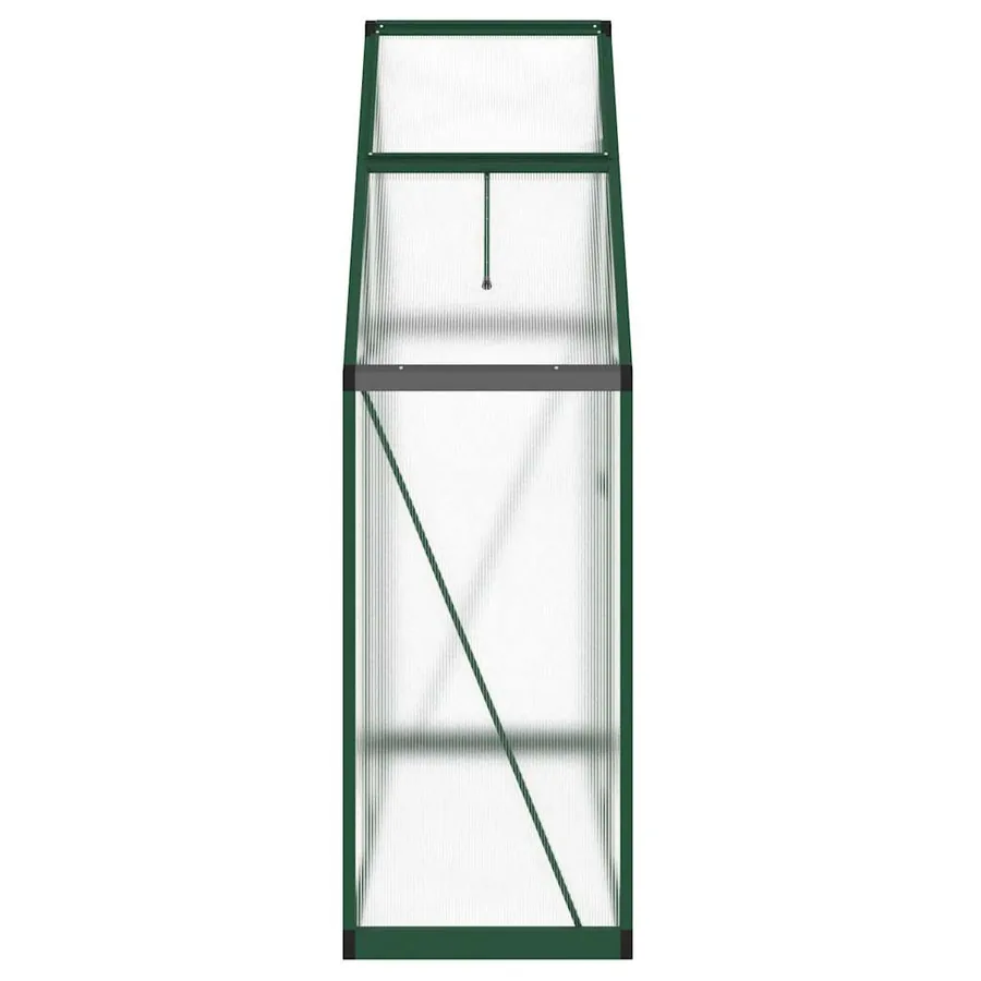 Serre avec cadre de base vert 169x58x195 cm aluminium - 4