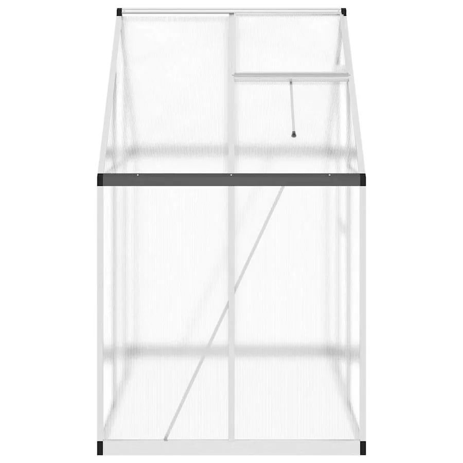 Serre avec cadre de base argent 169x114x195 cm aluminium - 4