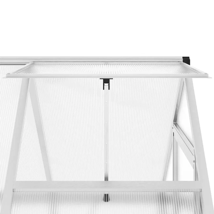 Serre avec cadre de base argent 169x114x195 cm aluminium - 9