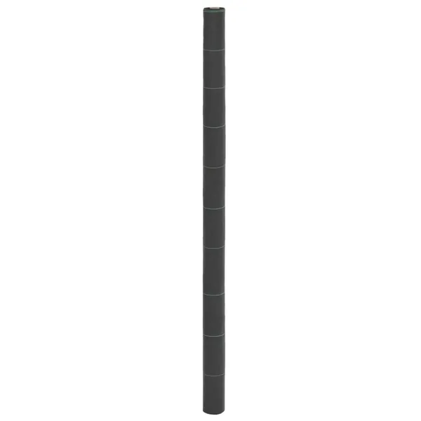 Membrane anti-mauvaises herbes noir 2x10 m PP