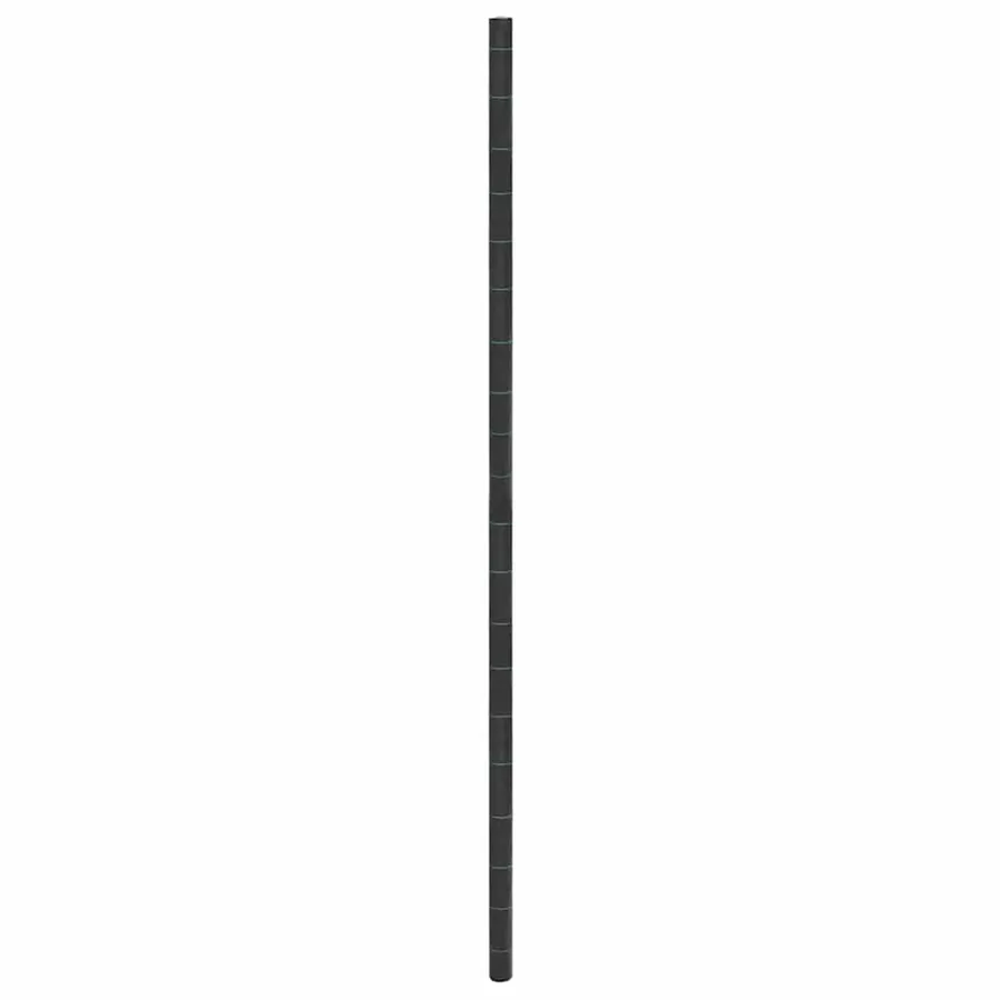 Membrane anti-mauvaises herbes noir 4x10 m PP