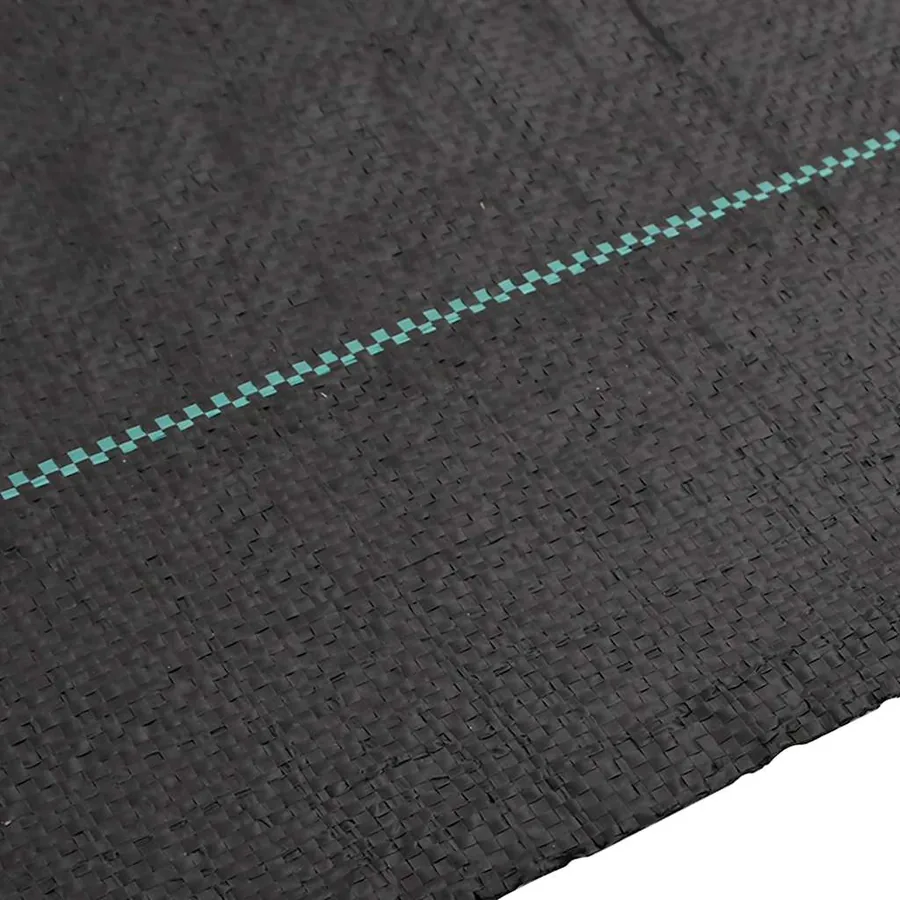 Membrane anti-mauvaises herbes noir 4x10 m PP - 4