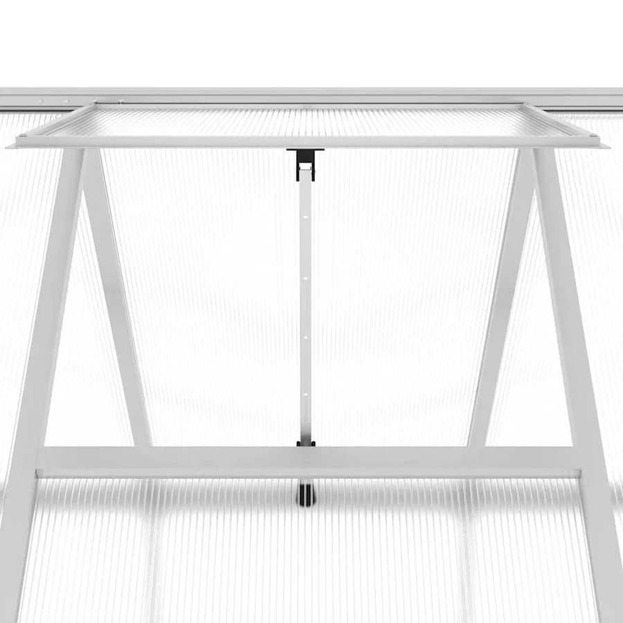 Serre avec cadre de base argenté 224x169x202 cm aluminium - 9