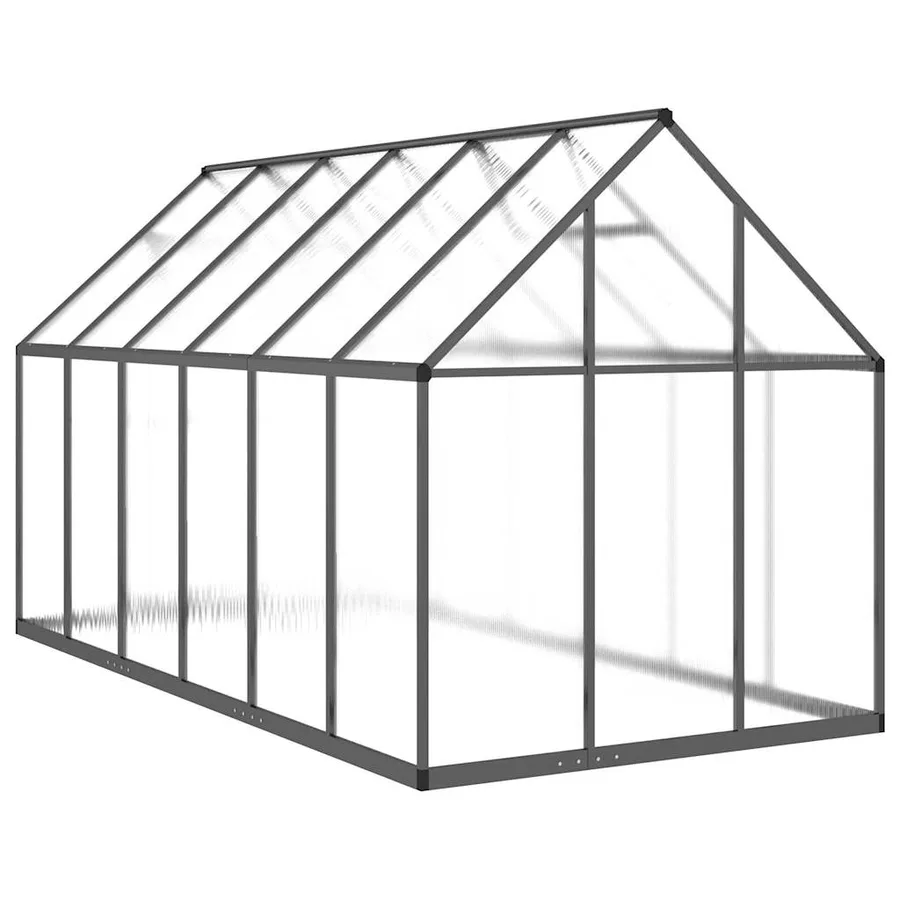 Serre avec cadre de base anthracite 334x169x195 cm aluminium - 5