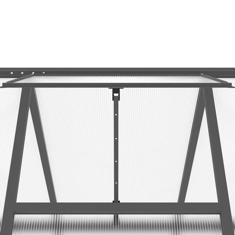 Serre avec cadre de base anthracite 334x169x195 cm aluminium - 9