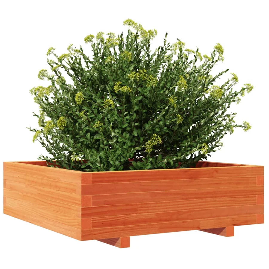Jardinière cire marron 80x80x26,5 cm bois de pin massif - 4