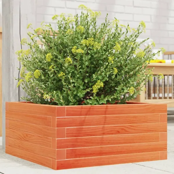 Jardinière cire marron 50x50x23 cm bois de pin massif