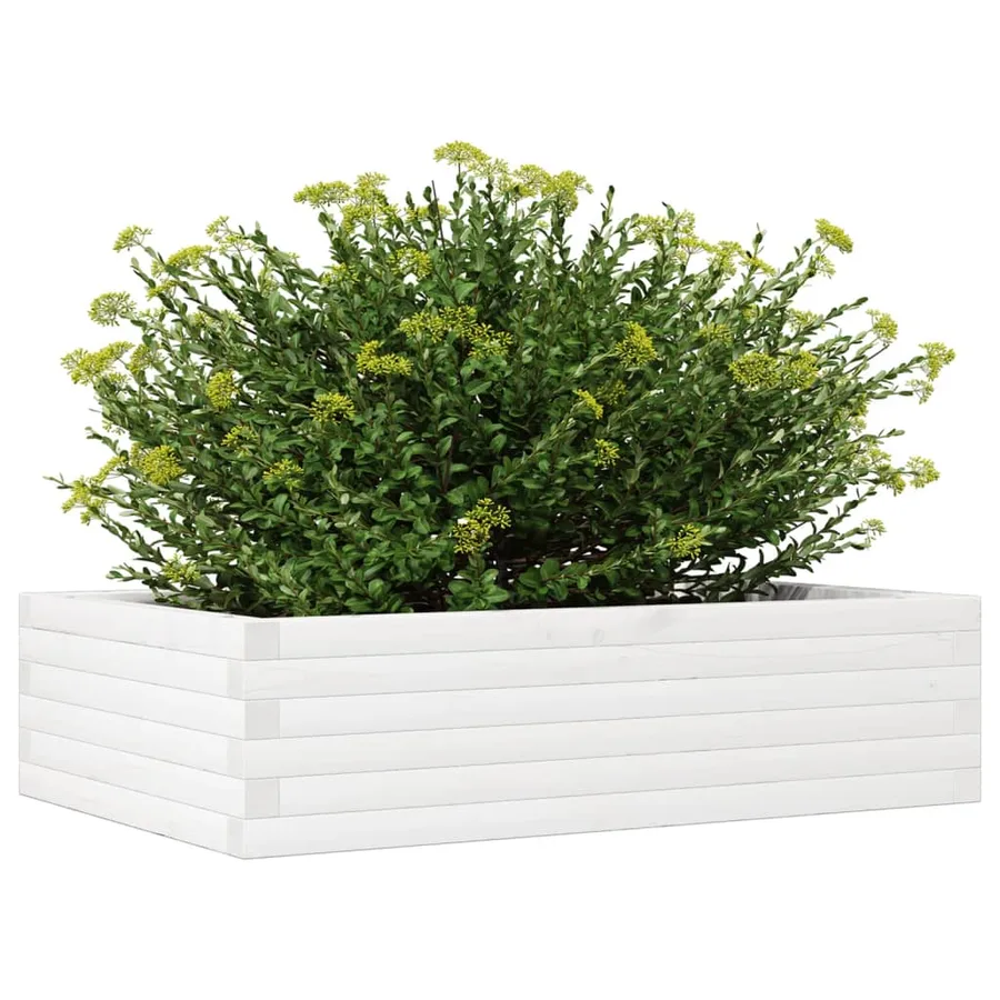 Jardinière blanc 90x60x23 cm bois de pin massif - 4