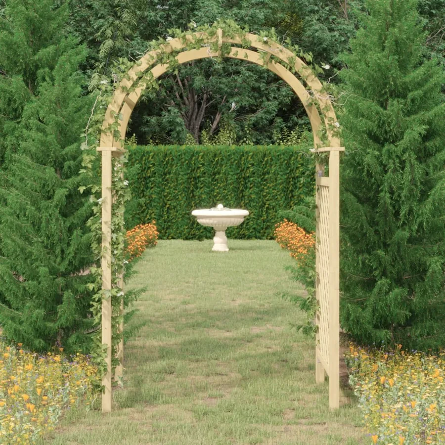 Arche avec treillis 141x97x243 cm Bois de pin massif imprégné