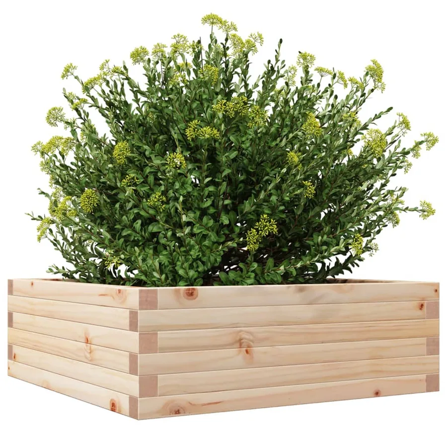 Jardinière 70x70x23 cm bois de pin massif - 4