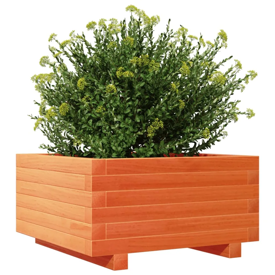 Jardinière cire marron 50x50x26,5 cm bois de pin massif - 4