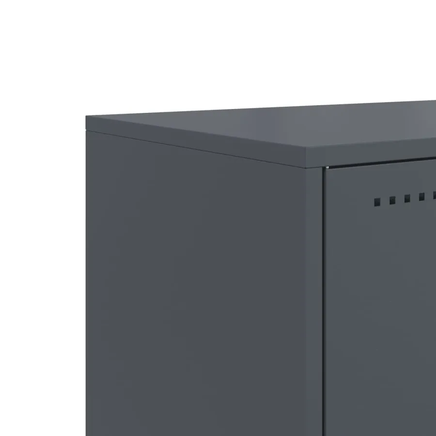 Meuble TV anthracite 100,5x39x60,5 cm acier - 11
