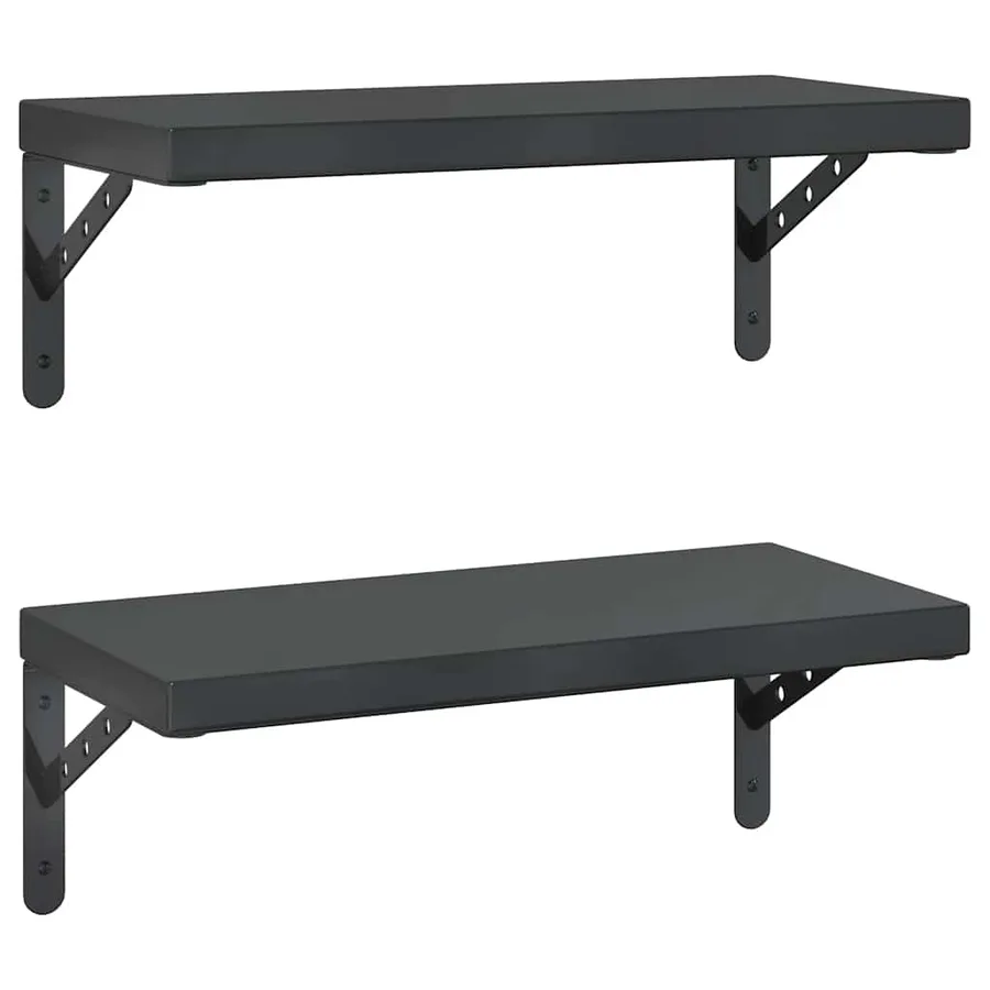 Étagères murales 2 pcs 50x23,5 cm noir acier inoxydable - 2
