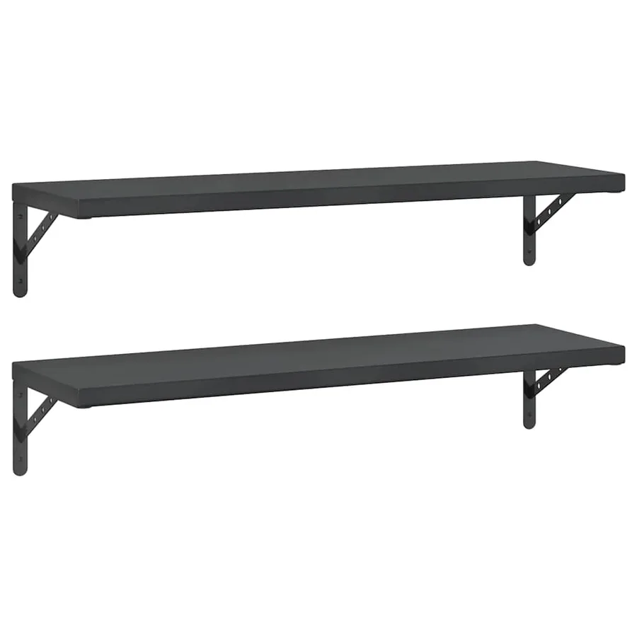 Étagères murales 2 pcs 100x30 cm noir acier inoxydable - 2
