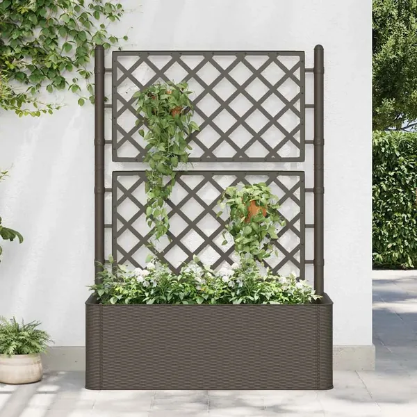 Lit surélevé de jardin et treillis et système d'arrosage Moka