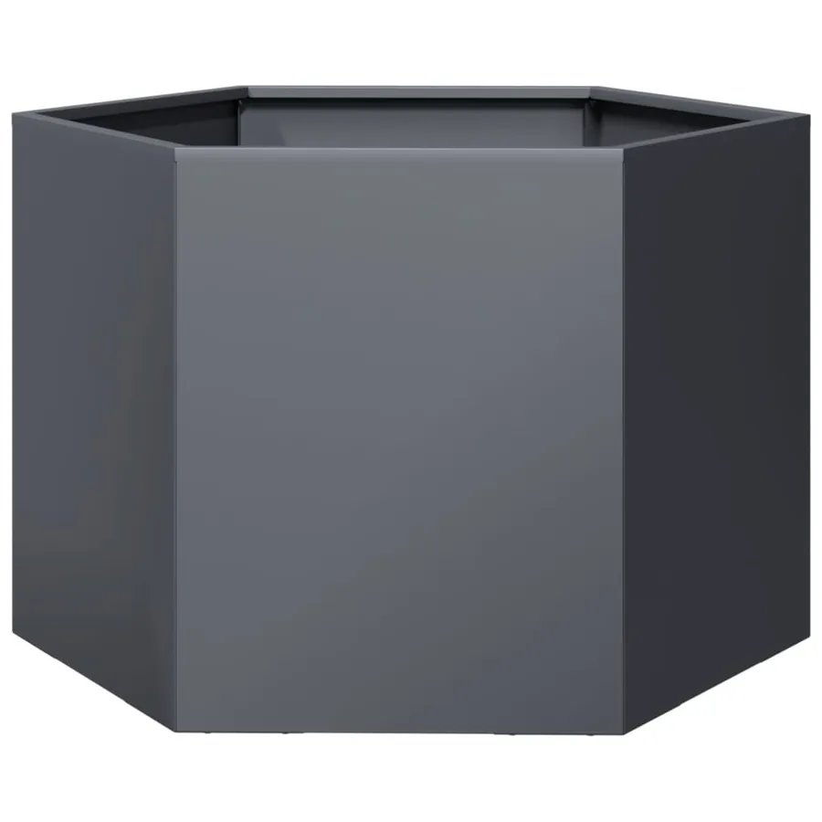 Jardinière anthracite hexagone 69x60x45 cm acier - 2