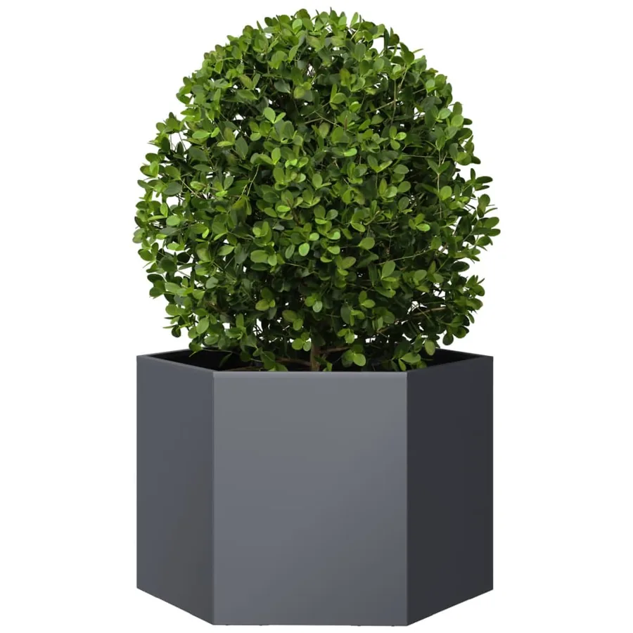 Jardinière anthracite hexagone 69x60x45 cm acier - 3