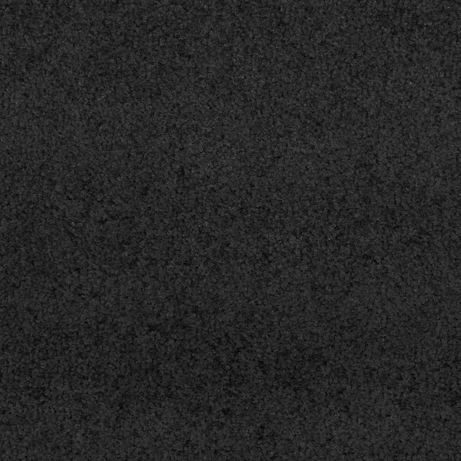 Tapis d'entrée Noir 120 x 400 cm 100% Polyamide - 6
