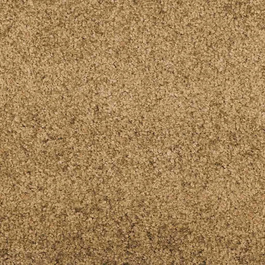 Tapis d'entrée Crème et noir 120 x 300 cm Polyamide et PVC - 6