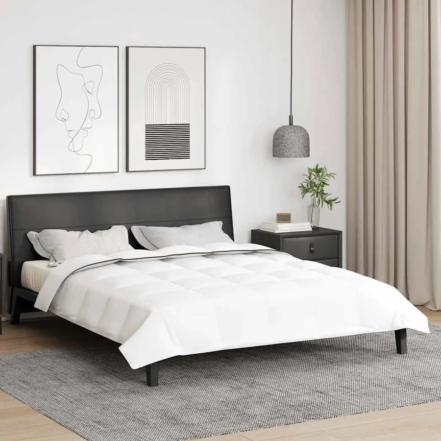 Duvet d'hiver Blanc 260 x 220 cm Plume
