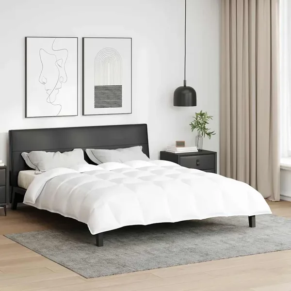 Duvet d'hiver Blanc 200 x 220 cm Plume