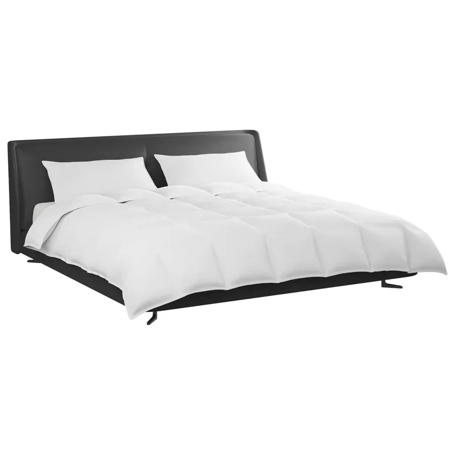 Ensemble de Duvet avec oreiller 3 pcs Blanc Plume de canard - 2