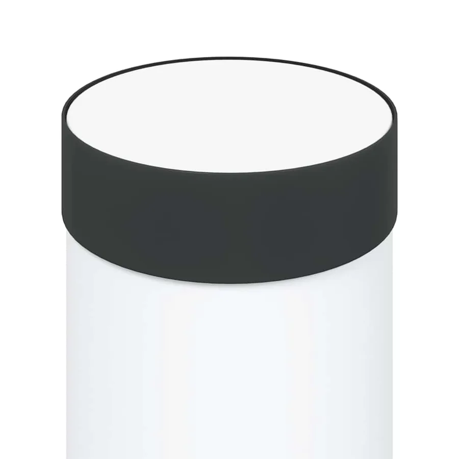 Borne lumineuse avec sortie 80 cm en acier inoxydable IP44 - 7