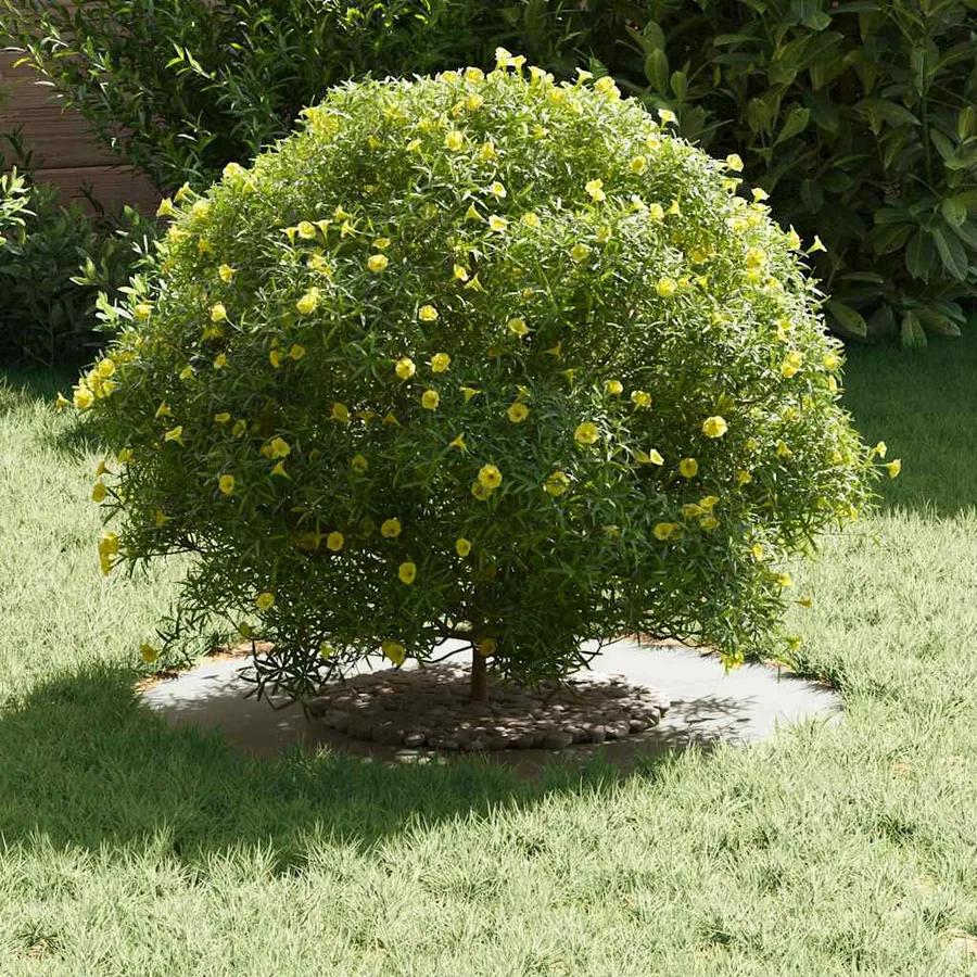adapté pour anneaux d'arbre plats 5 pc Blanc Ø30/60 cm Acier - 3
