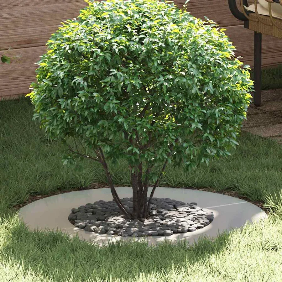 adapté pour anneau d'arbre plat Argent Ø40/70 cm