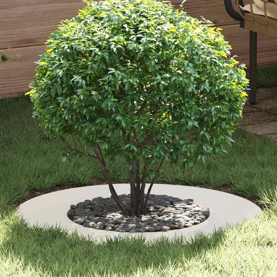 adapté pour anneau d'arbre plat Blanc Ø40/70 cm Acier