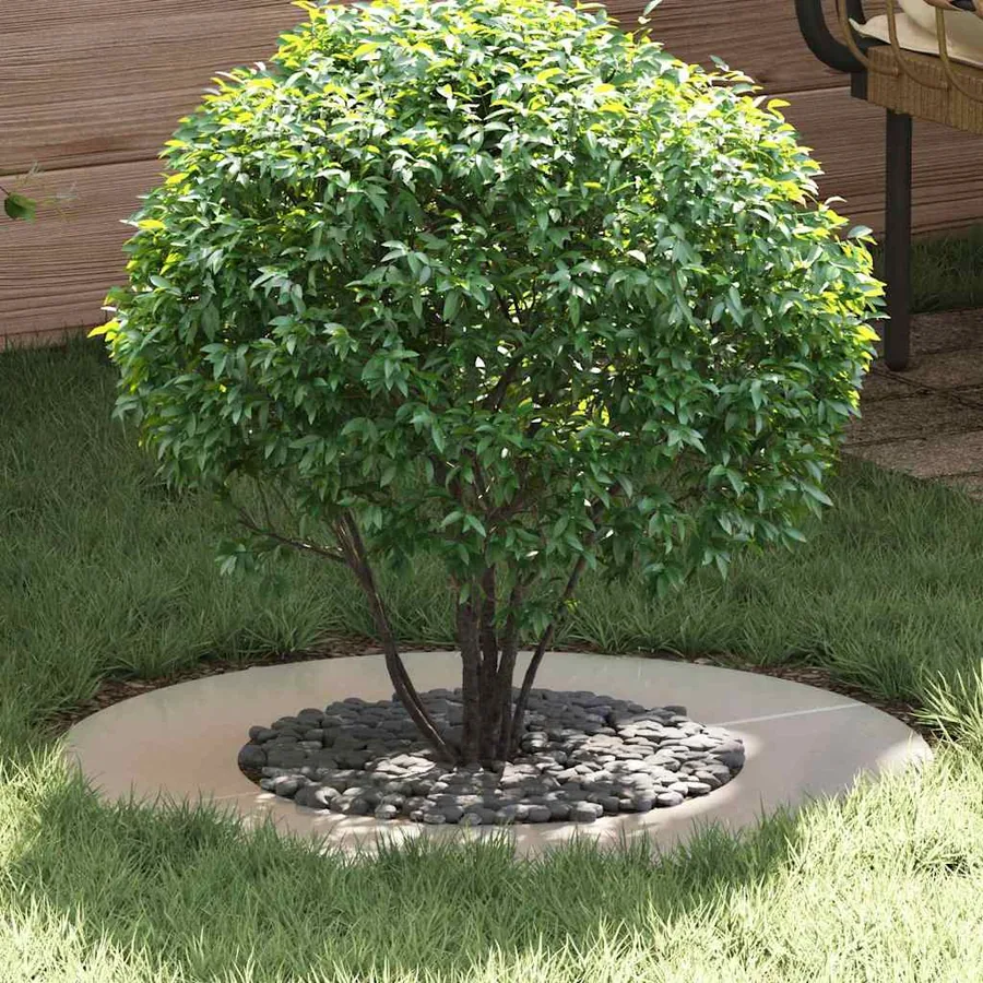 adapté pour anneau d'arbre plat Argent Ø40/70 cm