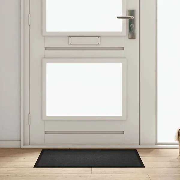 Tapis de porte Anthracite 60 x 40 x 1.2 cm Tissu en teddy