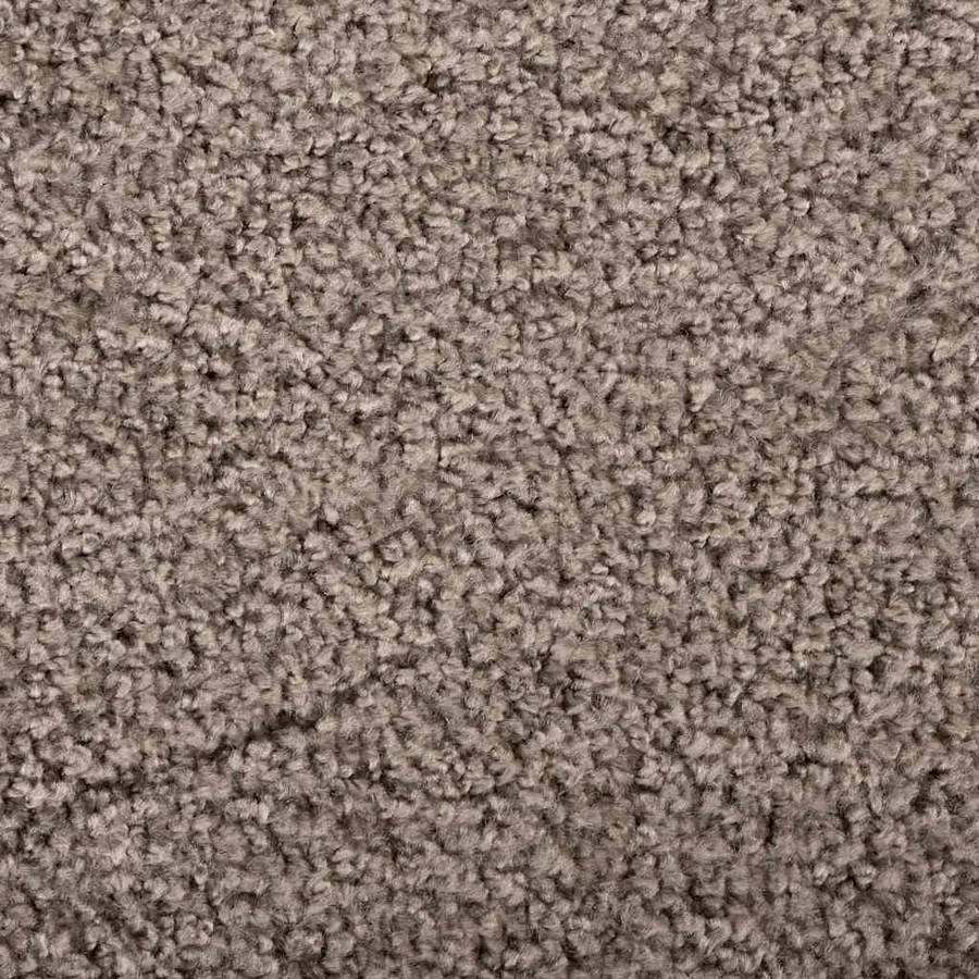 Tapis de porte Beige 60 x 40 x 1.2 cm Tissu en teddy - 6