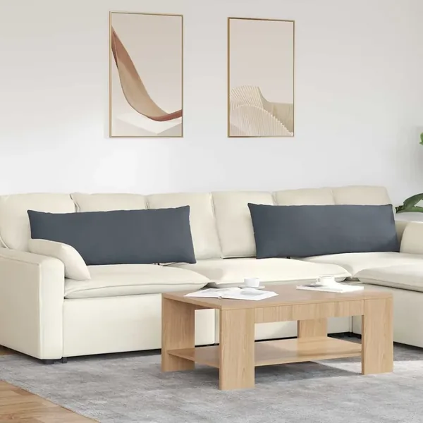 Coussins de canapé 2 pcs Gris foncé 120 x 40 cm
