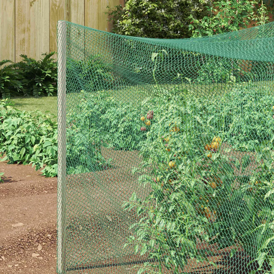 Filet de protection pour oiseaux Vert 2 x 10 m Polyéthylène - 3
