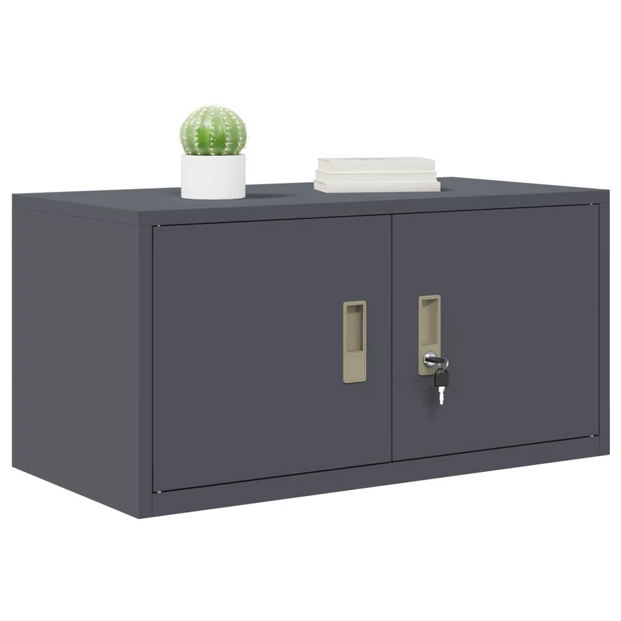 Armoire de rangement Anthracite 80 x 40 x 40 cm Acier - 3