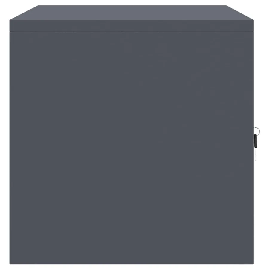 Armoire de rangement Anthracite 80 x 40 x 40 cm Acier - 7