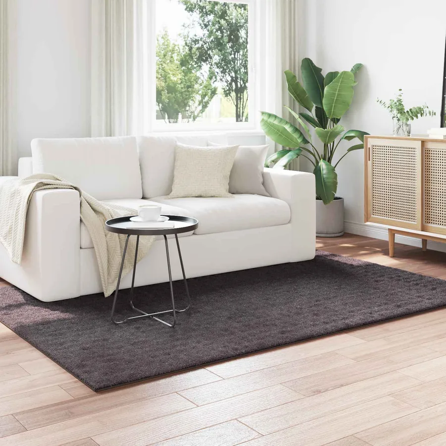 Tapis de surface SIROLO Anthracite 230 x 160 cm Polyester