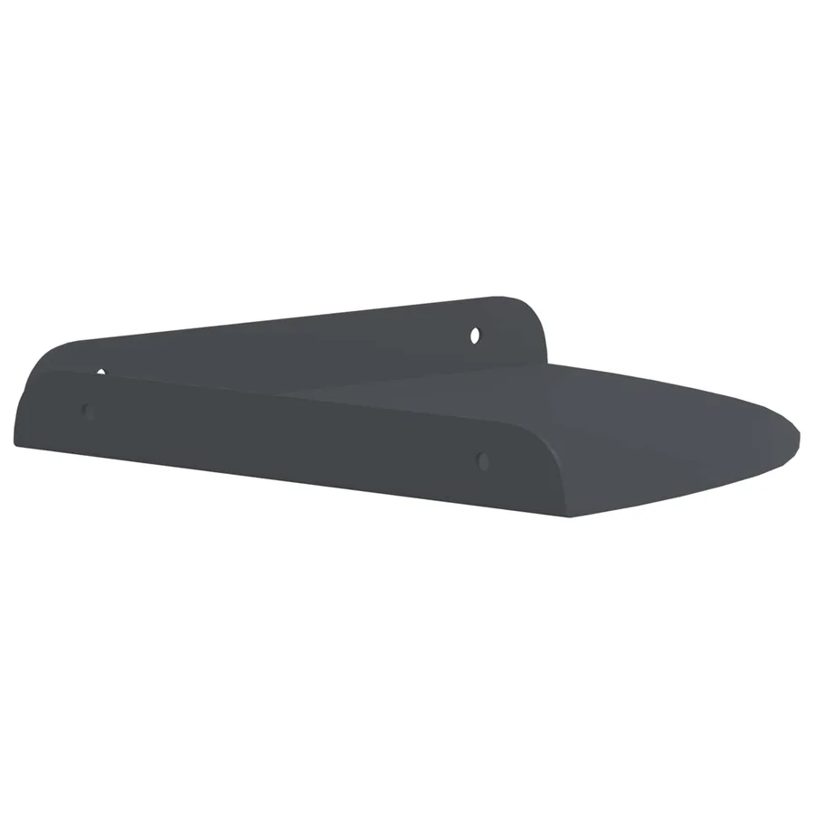 Étagère flottante avec étagère 2 pcs Anthracite 24 x 24 x 2 cm - 6