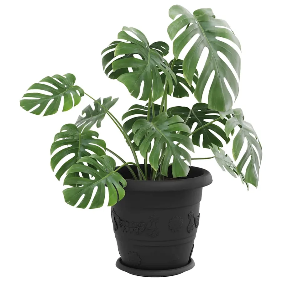 Plateau à fleurs rond 6 pcs Noir Ø 14 x 2 cm Plastique - 3
