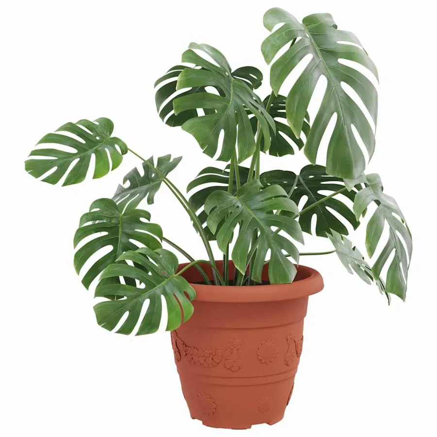 Pot à fleurs rond 6 pcs Rouge brique Ø 26 x 21,5 cm Plastique - 3