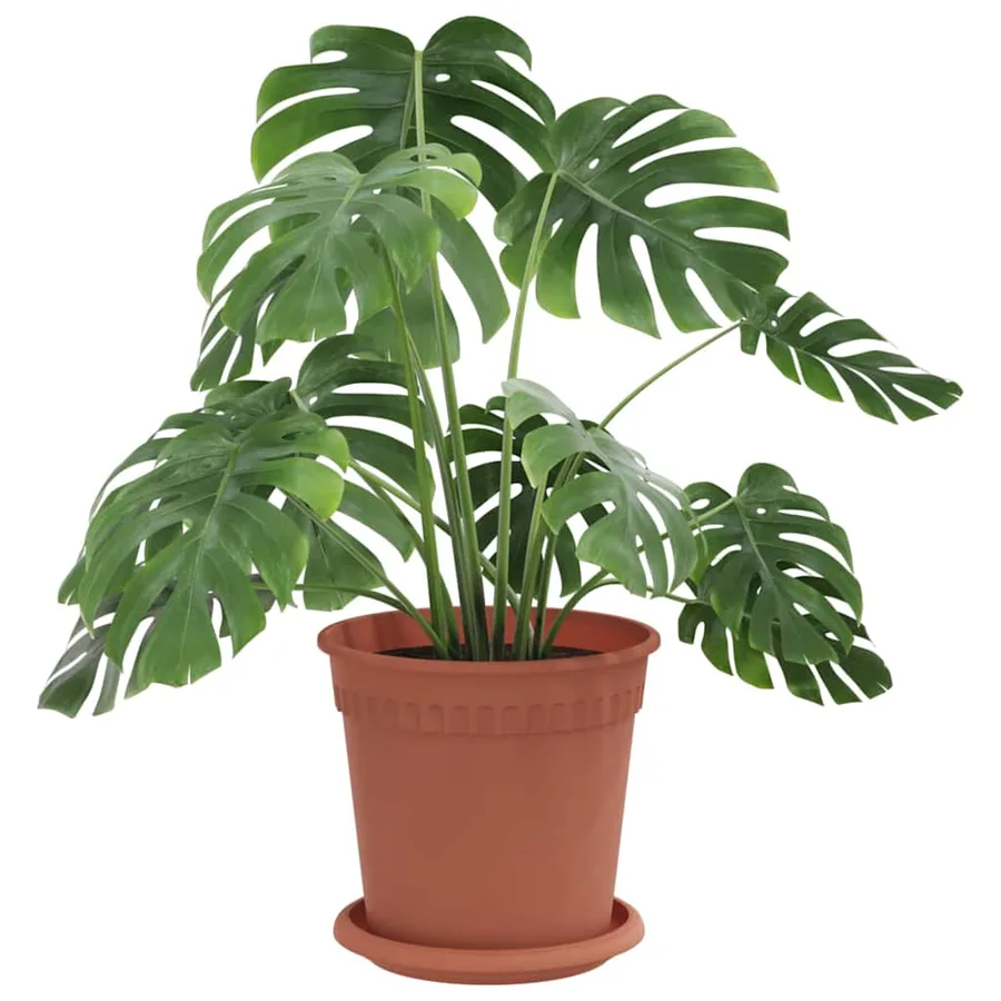 Pots de plantes 6 pcs Rouge brique Ø 17 x 14 cm Plastique - 3