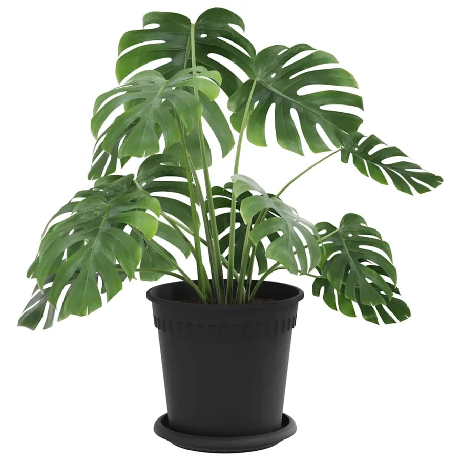 Pots de plantes 24 pcs Noir Ø 17 x 14 cm Plastique - 3
